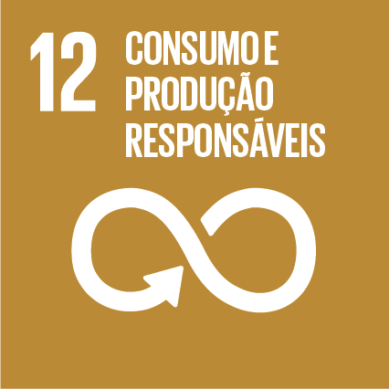 ODS 12